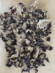 Đơn hỏi mua hàng Mộc nhĩ khô từ khách Nhật Bản