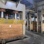 Ảnh chụp Màn hình 2025-07-22 lúc 15.12.48