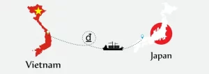 輸入サポート（初心者向け）｜ベトナムから日本への安心スタート