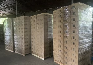 【納品実績】2025年8月にアカシア薪輸出実績のご報告